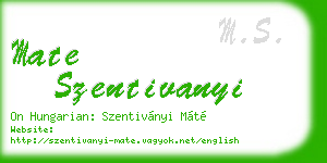 mate szentivanyi business card